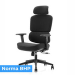 Fotel ergonomiczny ANGEL biurowy obrotowy Regulo